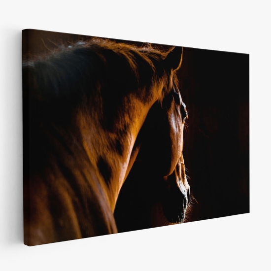 Cuadro en Lienzo - Caballo