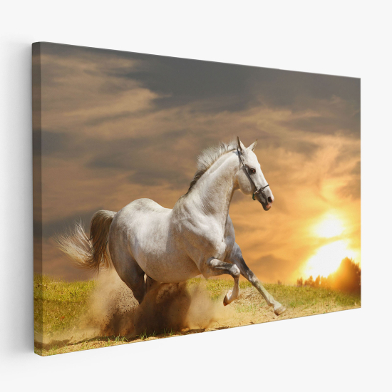 Cuadro en Lienzo - Caballo blanco