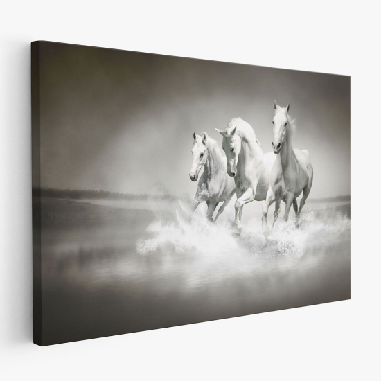 Cuadro en Lienzo - Caballos