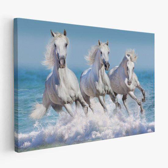 Cuadro en Lienzo - Caballos