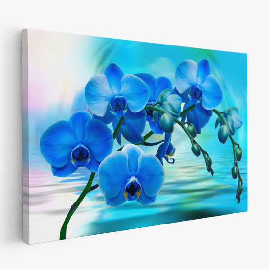 Cuadro en Lienzo - Orquídeas azules