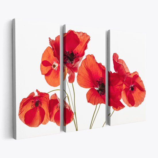 Cuadro tríptico - Amapolas