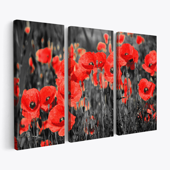 Cuadro tríptico - Amapolas