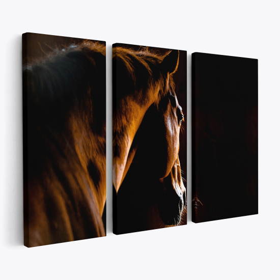 Cuadro tríptico - Caballo