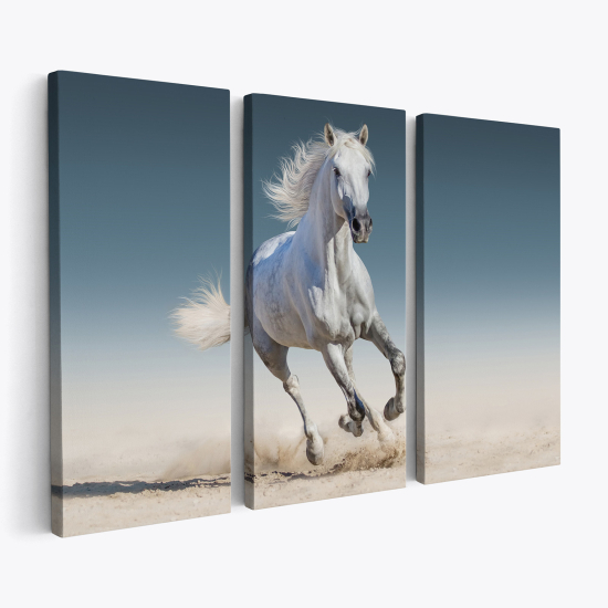 Cuadro tríptico - Caballo