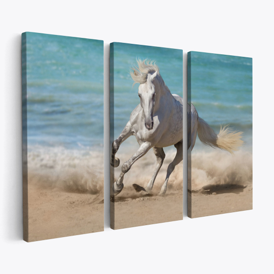 Cuadro tríptico - Caballo en la playa