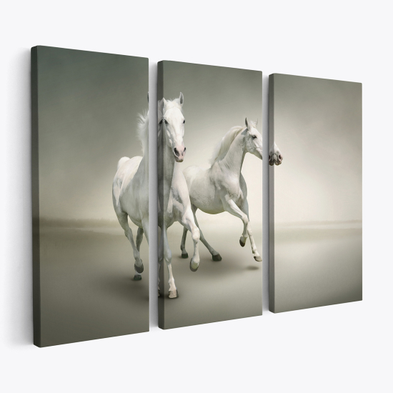Cuadro tríptico - Caballos