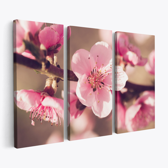 Cuadro tríptico - Flores de Cerezo