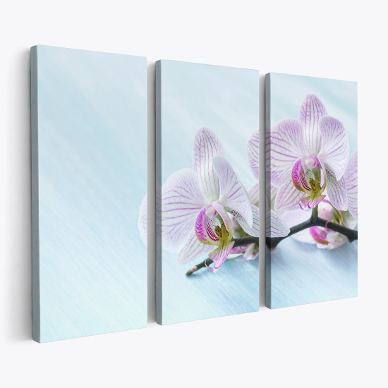 Cuadro tríptico - Orquídeas