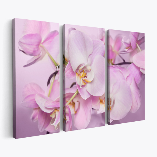Cuadro tríptico - Orquídeas