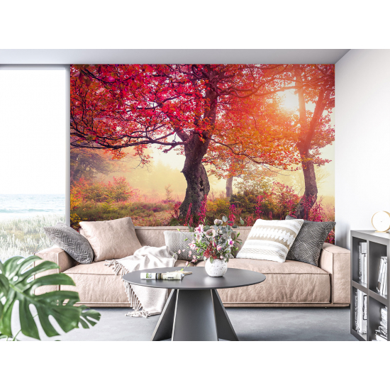 Papel pintado panorámico - Árboles Otoño