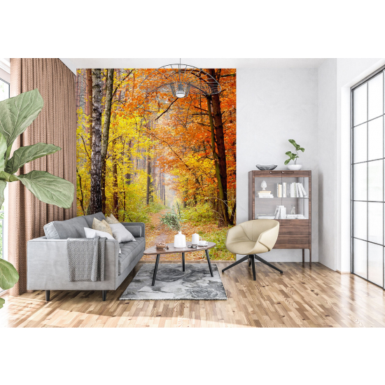 Papel pintado panorámico - Bosque Otoño