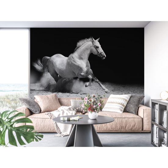 Papel pintado panorámico - Caballo