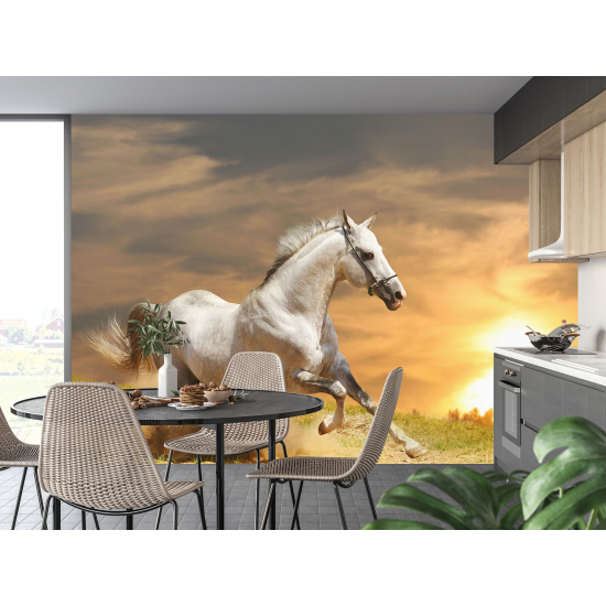 Papel pintado panorámico - Caballo