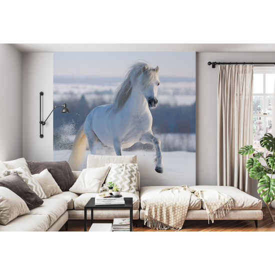 Papel pintado panorámico - Caballo