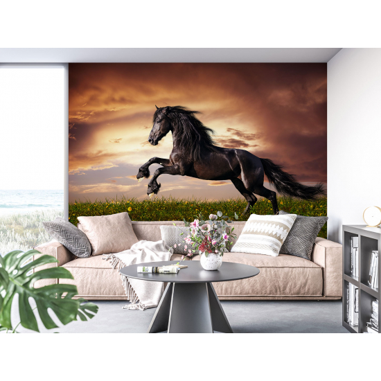 Papel pintado panorámico - Caballo