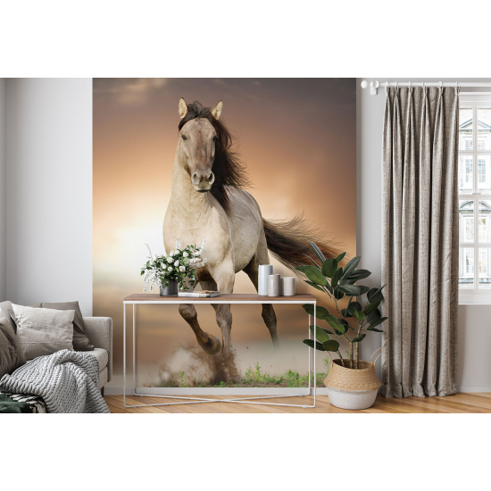 Papel pintado panorámico - Caballo