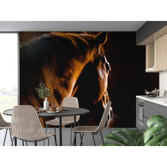 Papel pintado panorámico - Caballo