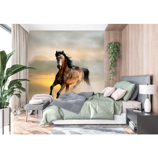 Papel pintado panorámico - Caballo