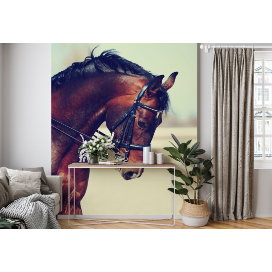 Papel pintado panorámico - Caballo