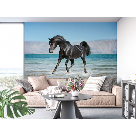Papel pintado panorámico - Caballo