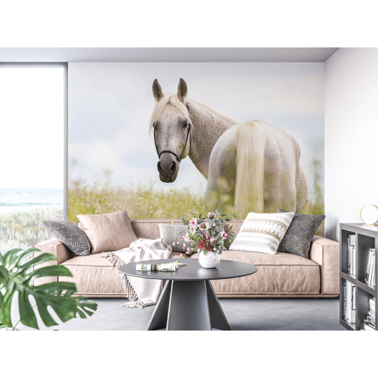 Papel pintado panorámico - Caballo
