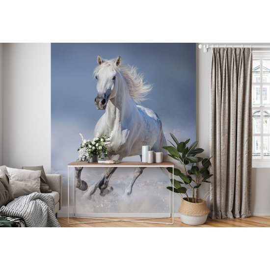Papel pintado panorámico - Caballo