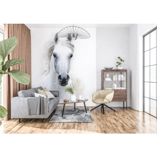 Papel pintado panorámico - Caballo