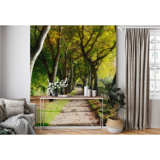 Papel pintado panorámico - Camino Bosque