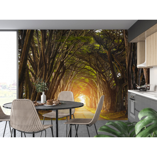 Papel pintado panorámico - Camino Bosque