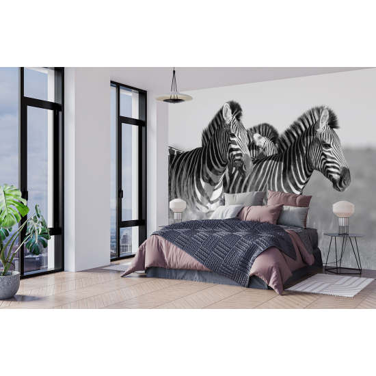 Papel pintado panorámico - Cebras