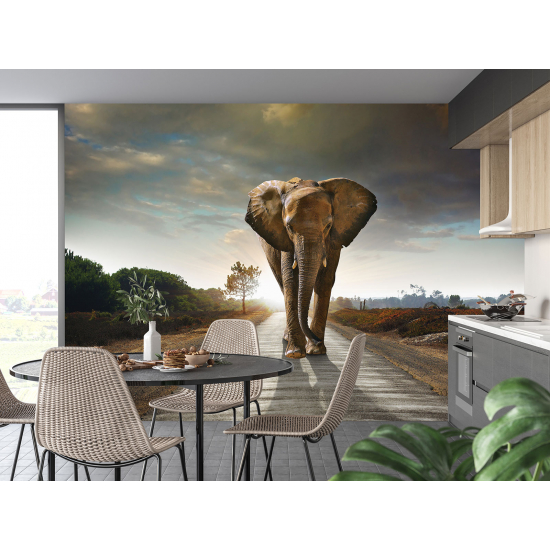 Papel pintado panorámico - Elefante