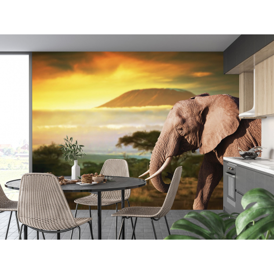 Papel pintado panorámico - Elefante