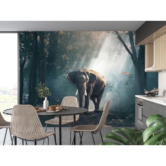 Papel pintado panorámico - Elefante
