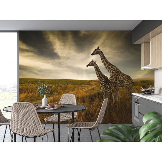 Papel pintado panorámico - Jirafas