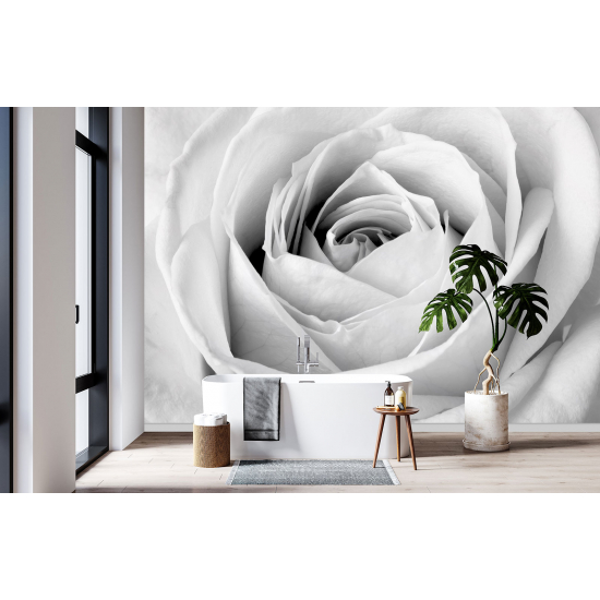 Papel pintado panorámico - La rosa