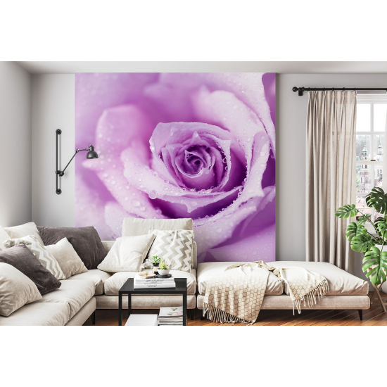 Papel pintado panorámico - La rosa