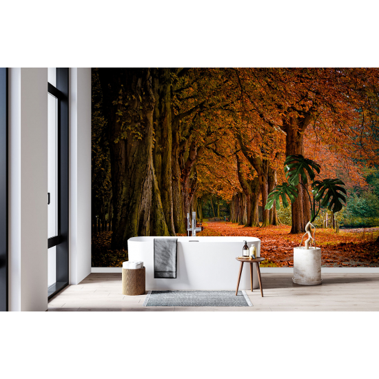 Papel pintado panorámico - Paisaje Otoñal