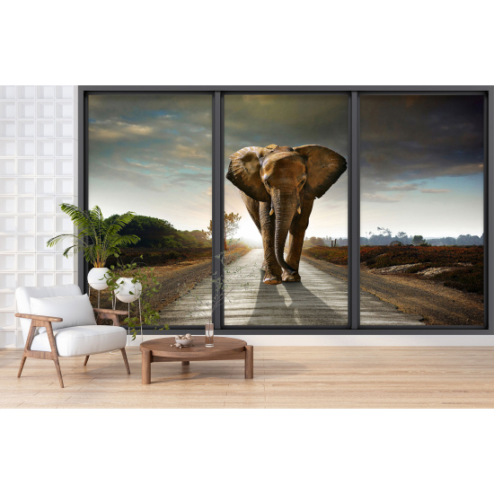 Papel pintado panorámico trampantojo - Elefante