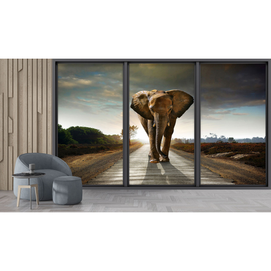 Papel pintado panorámico trampantojo - Elefante