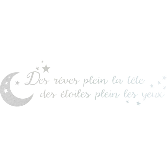 Vinilo Adhesivo Decorativo esmerilado - Citas Sueños llenos en la cabeza...