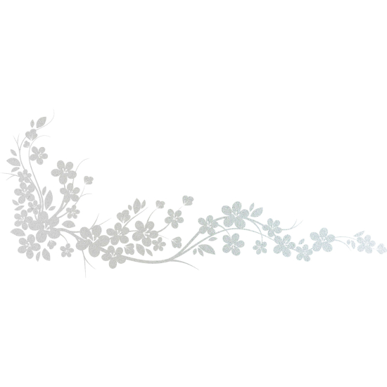 Vinilo Adhesivo Decorativo esmerilado - Rama floral