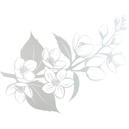 Vinilo Adhesivo Decorativo esmerilado - Rama floral
