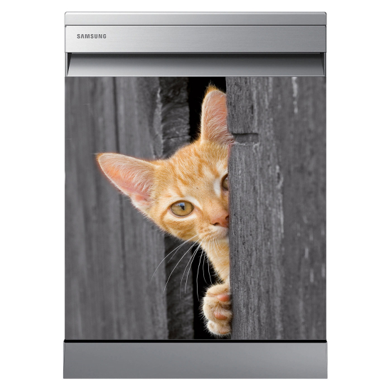 Vinilo Adhesivo para lavavajillas - Gato