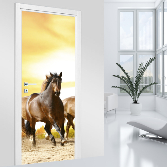 Vinilo Adhesivo para puerta - Caballos