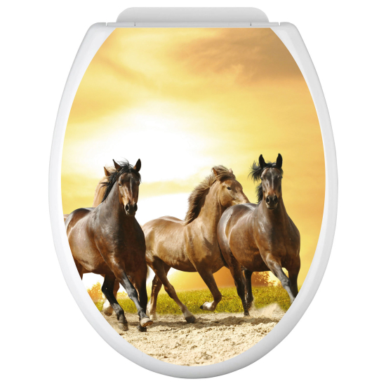 Vinilo Adhesivo para tapa WC - Caballos