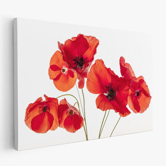 Cuadro en Lienzo - Amapolas