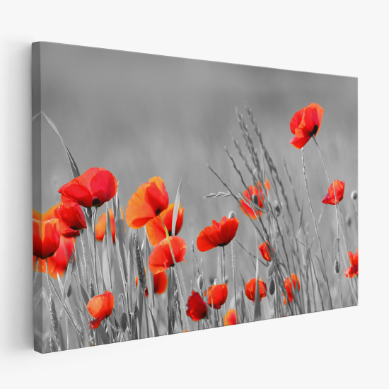 Cuadro en Lienzo - Amapolas