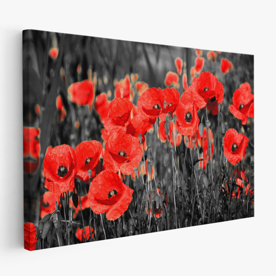 Cuadro en Lienzo - Amapolas