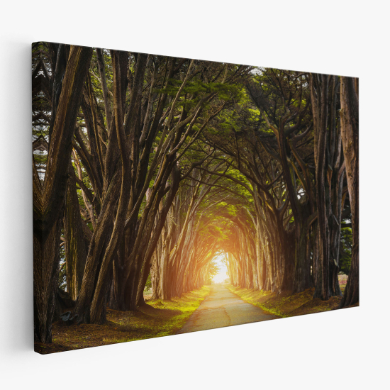 Cuadro en Lienzo - Bosque